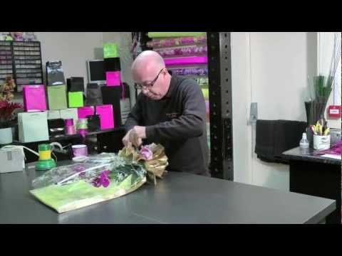 download lagu mp3 mp4 Giving An Orchid As A Gift, download lagu Giving An Orchid As A Gift gratis, unduh video klip Giving An Orchid As A Gift