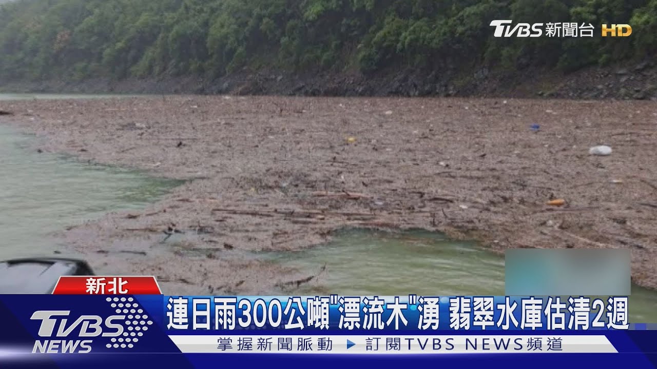 暴雨挾「300公噸漂流木」入翡翠水庫!「水位升」調節放水
