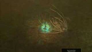 TQ Immortal Throne - The Queen of Legendary difficulity