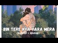Bin Tere Kya Yaara Mera Slowed Reverb Sachet Tandon Bollywood Lofi Lofi Vibes Textaudio