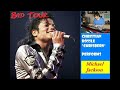 Rock With You (Bad Tour) - M. Jackson - Instrumental with lyrics  [subtitles]