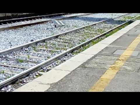 Il transito ad Albanova del regionale