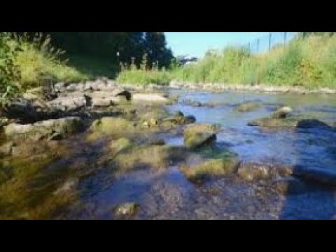 Relaxende Naturgeräusche: 1 Stunden Bachrauschen aus Lehesten - Schlafen, Meditation, Beruhigend