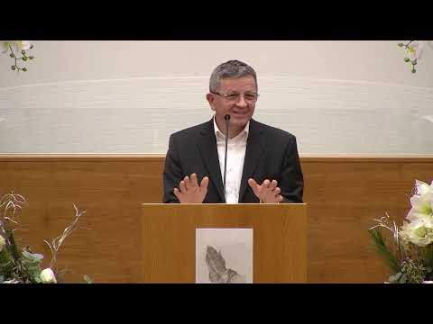 Nelu Zlibuț - Viața ta în chronicile lui Dumnezeu