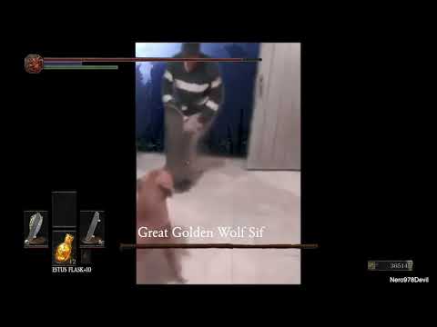 Bork Souls - Great Golden Wolf Sif (Dark Souls)