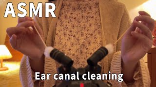 Super long simulated ear canal cleaning! Perfect penetration! #voice-activatedsleepaid#sleeplugging