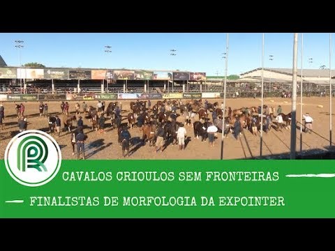 Todos os finalistas de morfologia da Expointer estão selecionados