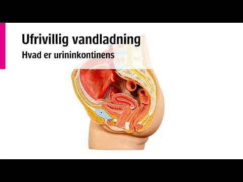 Ufrivillig vandladning - Hvad er urininkontinens?