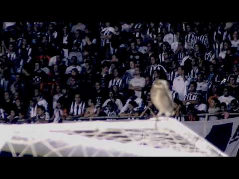 TV Galo HD: Atlético 3 x 2 Santos