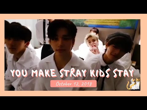 [Older Stray Kids Live] 181012 You make Stray Kids stay