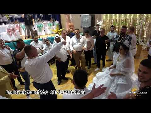 ARANYSZEMEK ❌ RUNCU  - ALMA A FA ALATT