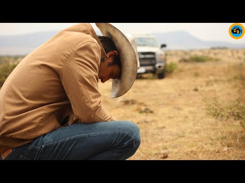 TERRA DE NINGUÉM - (Trailer legendado Portugal)