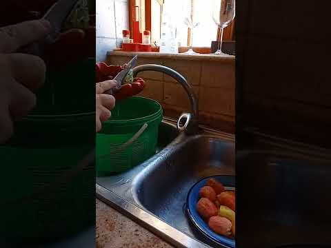 How to peel a prickly pear cactus