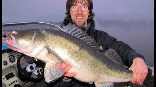 preview picture of video 'ZANDER TOTAL #1 Schweriner See. Big Fight Pikeperch & Live Bite!'