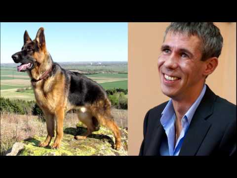 Панин с Собакой видео (обсуждение)