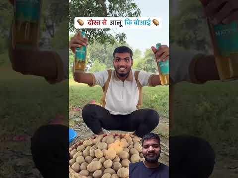 A disabled duckling helps his cat friend 🐥 #DuckRescue #CuteAnimal #AnimalRescue #shyam #comedy 😅