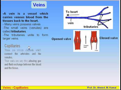 EslamNabil617’s Video 140732525833 xHwv8tD47Qs