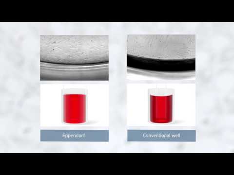 Don´t let Meniscus Formation control your Scientific Research