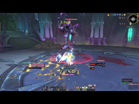 Paladin Prot Torghast Layer 5 boss  (Shadowlands)