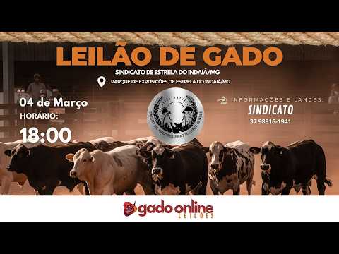 ⭐ 73º LEILÃO MISTO  SINDICATO DOS PRODUTORES RURAIS DE ESTRELA DO INDAIÁ/MG