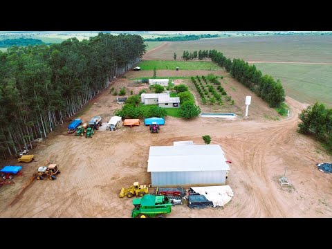 🌱 652 ALQ EM JARAGUARI - MATO GROSSO DO SUL [🌱DUPLA APTIDÃO] #agro #fazenda #tec2agro #dourados