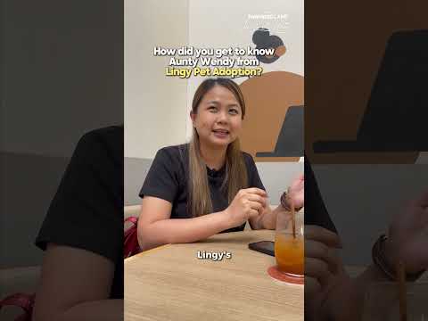 Ep 3 — The Promise To Never Give Up