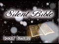 RB Silent Bible (Cover of Nana Mizuki's song ...