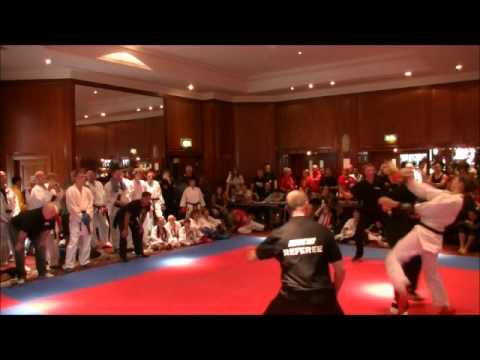 World Championships 2014 Finals Karate Kumite(8) female 29th August