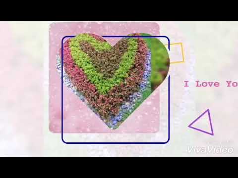 Happy birthday 2 you Raihan 2018