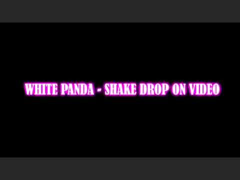 White Panda - Shake Drop on Video