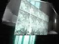 One True Media Video