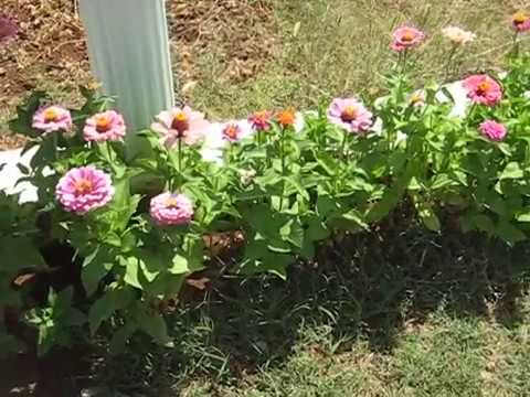 ljeskovac 05 08 2013