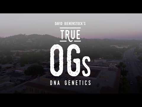 DNA Genetics limited collection video