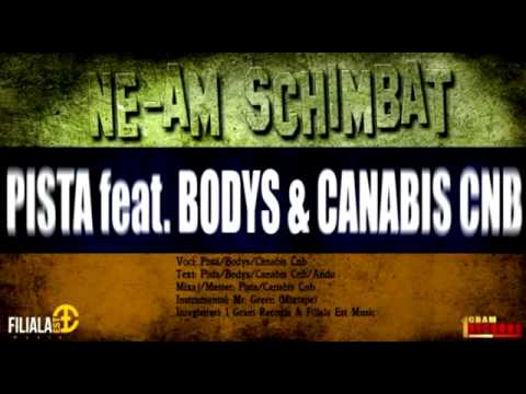 Pista Ne-am schimbat(Bodys&Canabis Cnb)