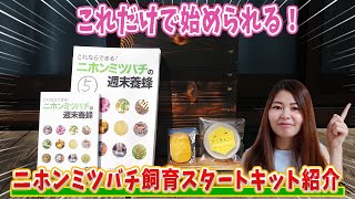 これだけで始められる！ニホンミツバチ飼育スタートキット紹介　入居からハチミツを採るまで一気に解説！