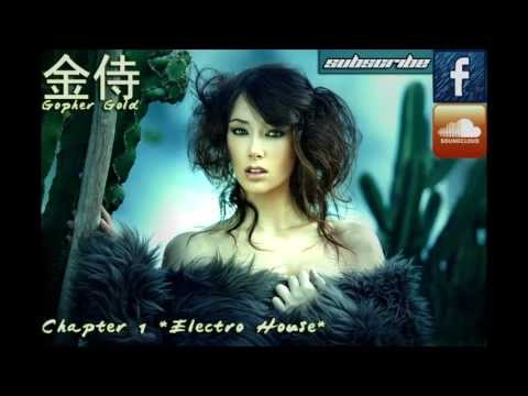 Gopher Gold *Electro House mix* Chapter 1
