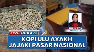 Terus Buat Inovasi Produk! KOPI Ulu Ayakh di Kabupaten OKU Mulai Merambah Pasar Nasional