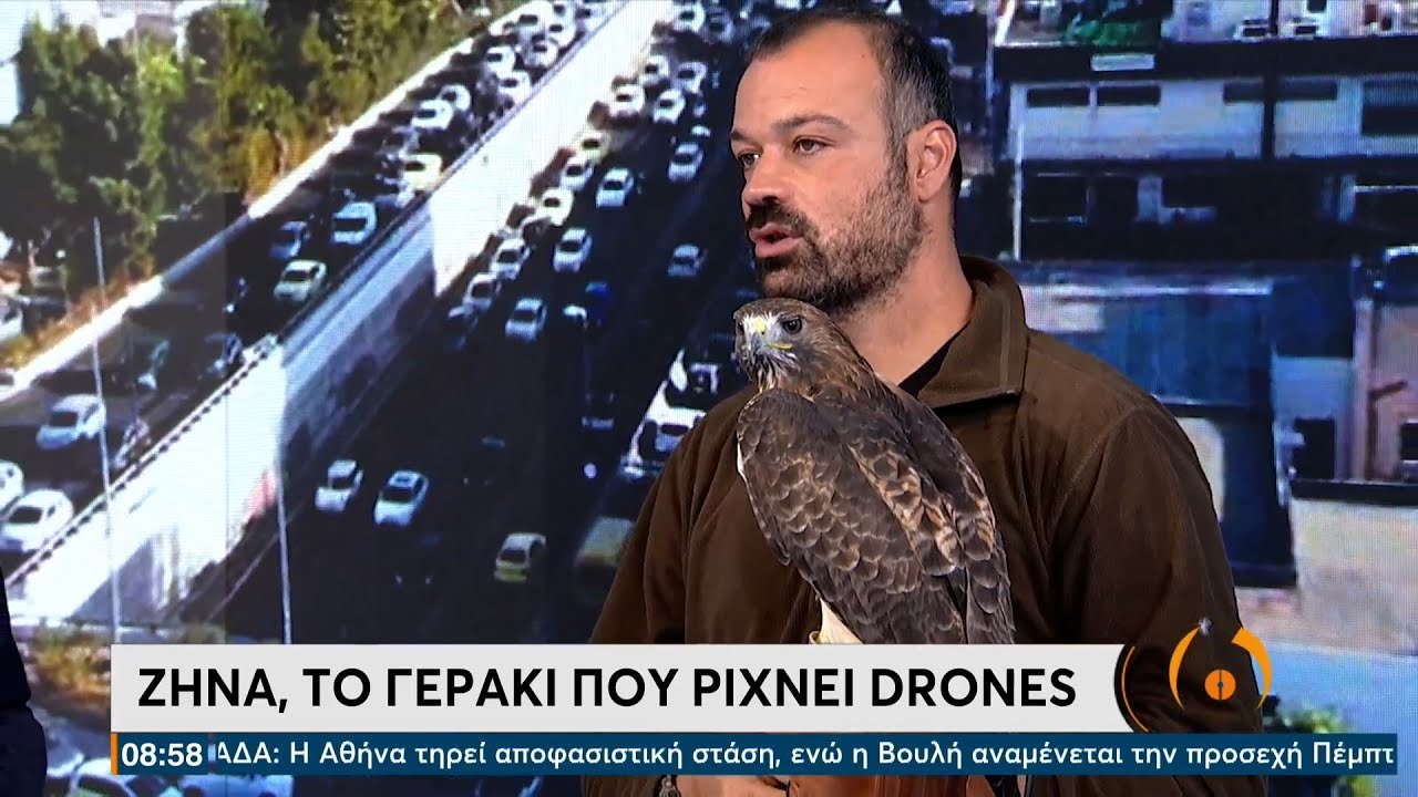 Ζήνα η… πολεμίστρια – Το γεράκι που ρίχνει drones
