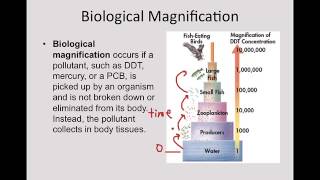 Biomagnification