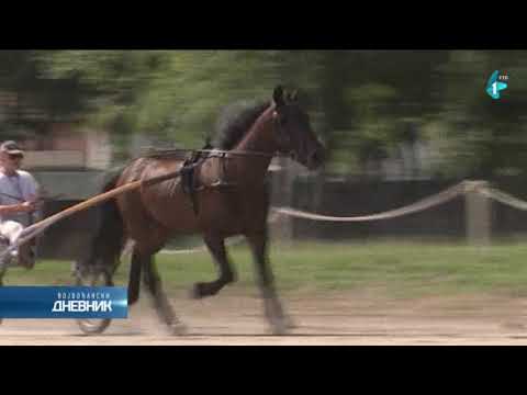 Za vikend 51. kasačke trke "Dužijanca 2019"