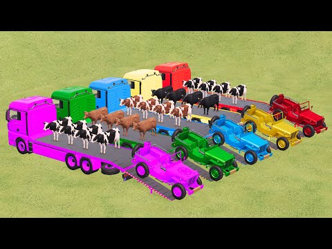 TRANSPORTING COWS WITH COLORED MINI TRACTORS & TAM TRUCKS - Farming Simulator 22