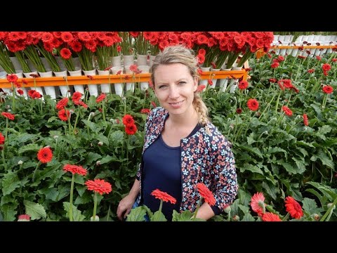 De boer is troef 11 mei 2016 - Gebrakweker