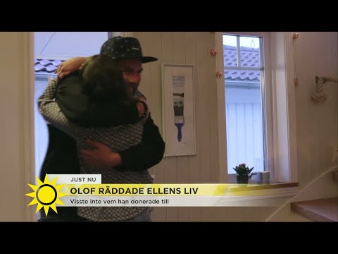 Olof donerade stamceller – räddade 17-åriga Ellens liv. - Nyhetsmorgon (TV4)