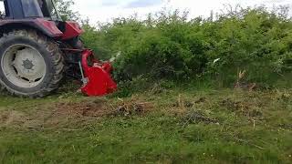 Seppi M 200 forestry mulcher for sale - Image 4 | Agronetto IN New Seppi M 200 forestry mulcher | Image 4 - Agronetto