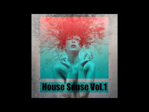 dj V-Dat & dj BJ'S - House Sense Vol.1