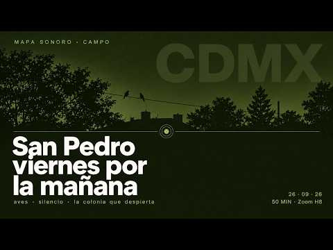 San Pedro de los Pinos · viernes por la mañana · aves y silencio · 26 sep 2026
