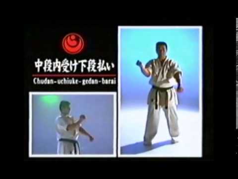 Karate Kihon   Basic Strikes & Blocks