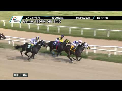 210507 c02 - MAN CAMPEIRA - HIPODROMO LAS PIEDRAS