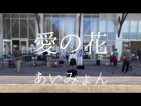 愛の花／あいみょん【cover】