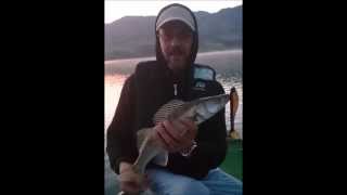 preview picture of video 'Leurres souples RDB First 15 cm et Lunker City Shaker 6'''